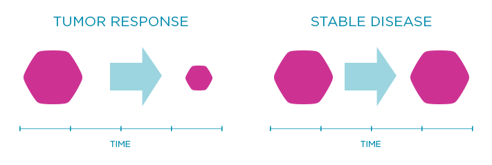 Response Rate